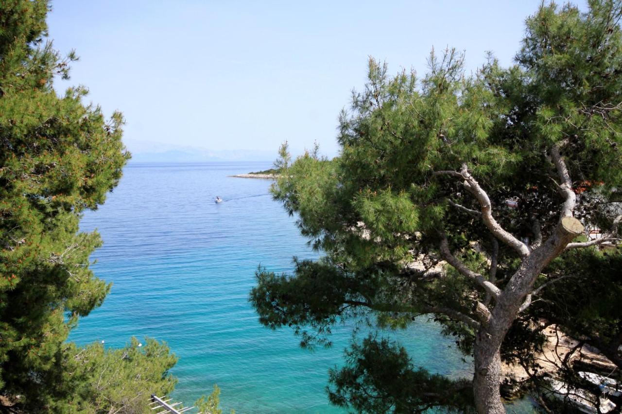 Apartments By The Sea Basina, Hvar - 542 Vrbanj Exteriér fotografie